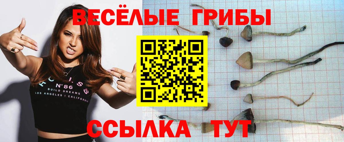 Галлюциногенные грибы GOLDEN TEACHER Партизанск